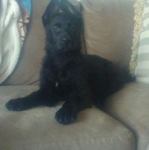 Meet your Posher, Jillian